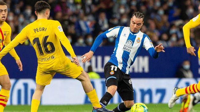 罗宾乔巴