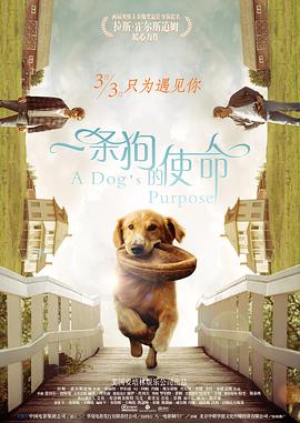 中文字幕av一区二区三区