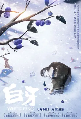 久久精品久久久