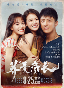 午夜在线播放